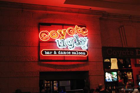 Saturday, December 30th 6pm-3am. . Coyote ugly las vegas reviews